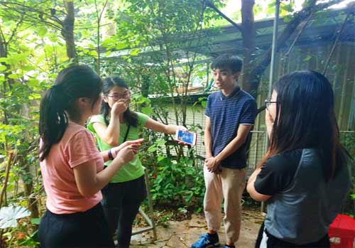 15355283082908981813.jpg 5246.jpg